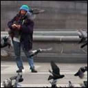 Save The Trafalgar Square Pigeons