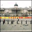 Save The Trafalgar Square Pigeons